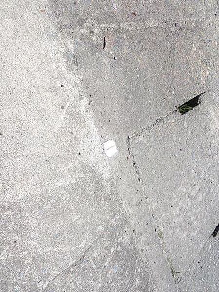 現地には隣接地所有者立会いのもと、土地の境界を示すプレートがこのように設置されています。土地の境界がはっきりしているので安心ですね。