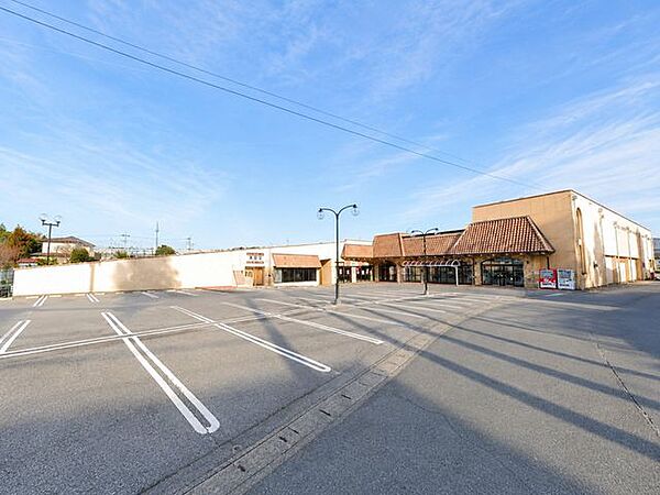 徒歩65分。フードマーケットオータニ野沢店まで約1780m(徒歩23分)日々のお買い物に欠かせないスーパー。お仕事帰りにお車で行ける距離なので便利ですね。 5130m
