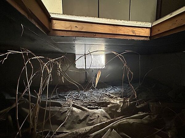 中古住宅の3大リスクである、雨漏り、主要構造部分の欠陥や腐食、給排水管の漏水や故障を2年間保証します。その前提で床下まで確認の上でリフォームし、シロアリの被害調査と防除工事もおこないます。