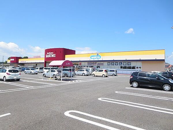 ウエルシア那珂瓜連店 徒歩16分。 1200m