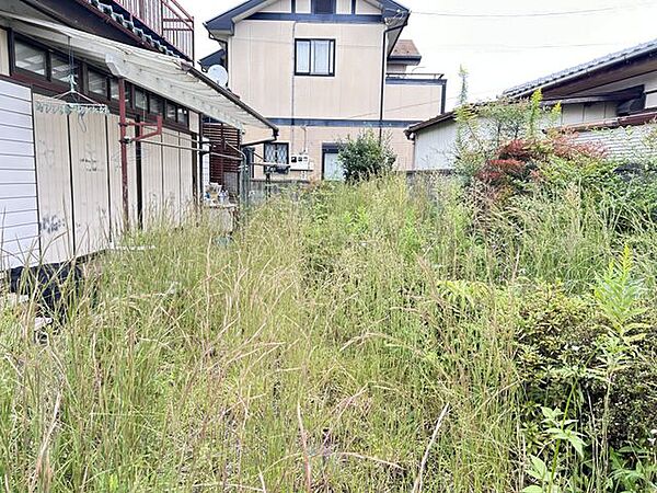 (期間限定現況販売)