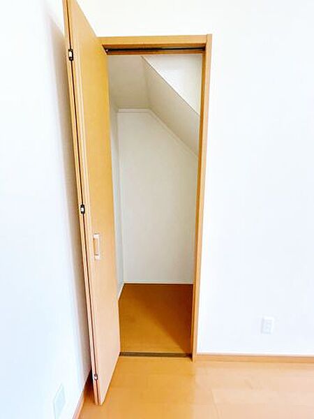 【即引き渡し可】1階洋室の収納です。お掃除用具の収納などにいかがでしょうか。