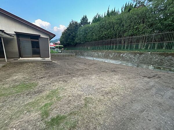 除草・樹木の撤去を行います。