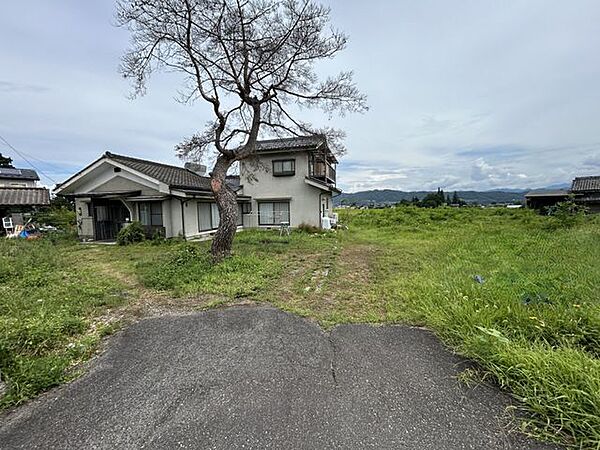 【駐車場】松の木を伐採いたします。駐車3台可能です。