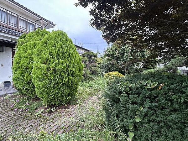 【庭】敷地南東側にはお庭がございます。昔ながらの植栽があります。