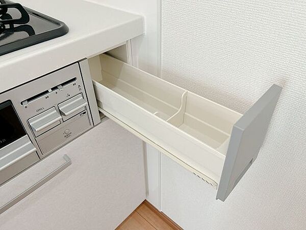 【リフォーム済】システムキッチンの調味料入れです。調味料のストック等収納できますので、キッチンをスッキリ保つことが出来ます。