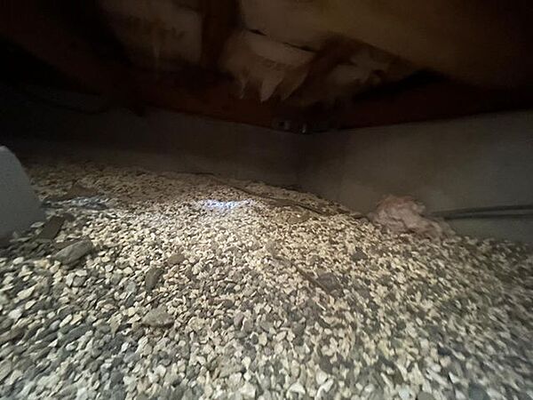 中古住宅の3大リスクである、雨漏り、主要構造部分の欠陥や腐食、給排水管の漏水や故障を2年間保証します。その前提で屋根裏まで確認の上で、シロアリの被害調査と防除工事もおこないました。