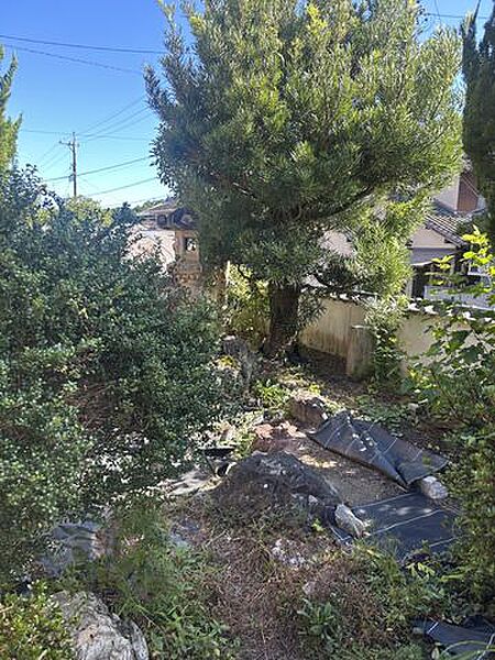 【リフォーム中】お庭　植栽撤去します