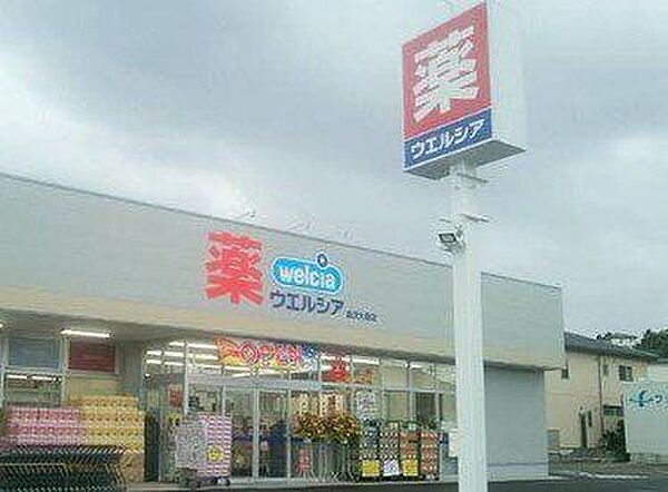 イオン野々市南店 ウェルシア金沢四十万店様まで約270ｍ。 1300m