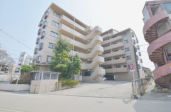 外観：317000012543