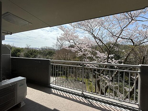 【リフォーム済】四季折々を感じられる眺望なので、今の季節だとリビングから桜が見れるので、ご自宅でお花見をできます。