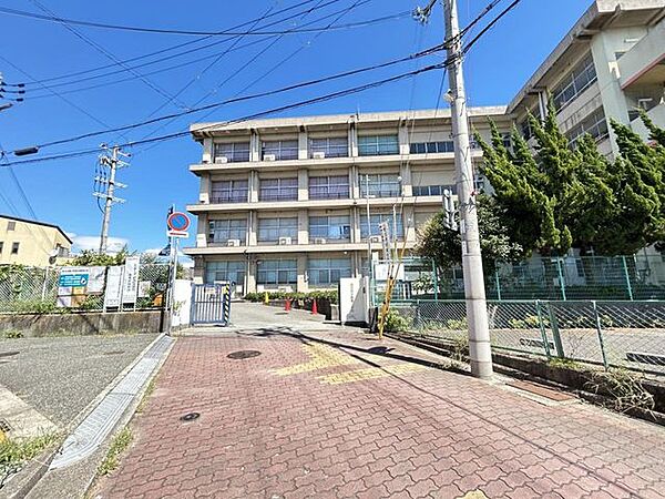 【周辺環境】明石市立朝霧小学校まで約350ｍ（徒歩約5分）です。低学年のお子様にも安心の距離ですね。
