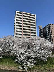 サンシティ川端 3LDKのリビング/ダイニング