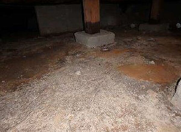 中古住宅の3大リスクである、雨漏り、主要構造部分の欠陥や腐食、給排水管の漏水や故障を2年間保証します。その前提で床下まで確認の上でリフォームし、シロアリの被害調査と防除工事もおこないます。