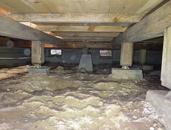 【床下】中古住宅の3大リスクである、雨漏り、主要構造部分の欠陥や腐食、給排水管の漏水や故障を2年間保証します。その前提で床下まで確認の上でリフォームし、シロアリの被害調査と防除工事もおこないます。