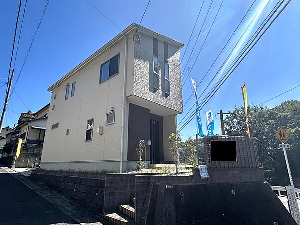 外観：334000189754