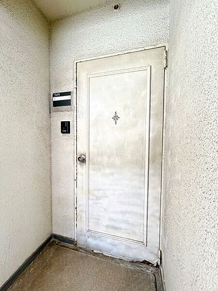 玄関外部です。インターホン交換済み。