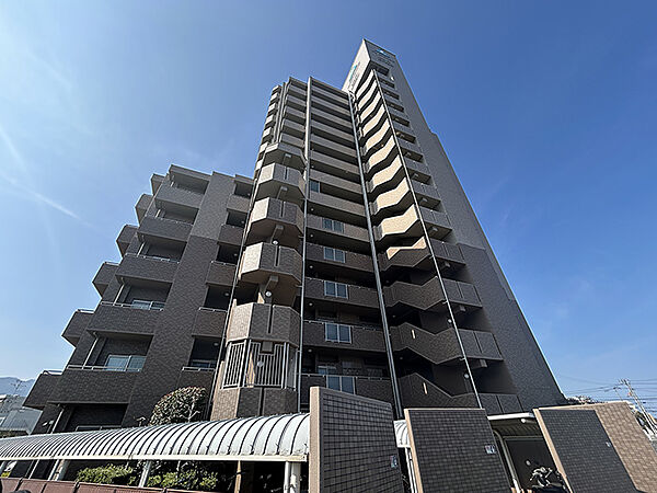 外観：338000052976