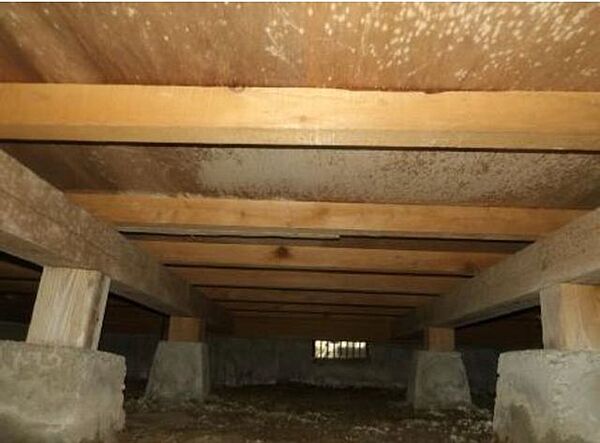 中古住宅の3大リスクである、雨漏り、主要構造部分の欠陥や腐食、給排水管の漏水や故障を2年間保証します。その前提で床下まで確認の上でリフォームし、シロアリの被害調査と防除工事もおこないます。