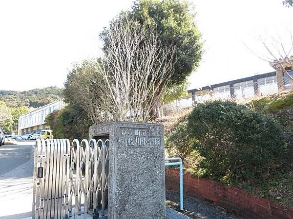 いの町立枝川小学校 【周辺環境】枝川小学校まで約600m（徒歩約8分） 4200m