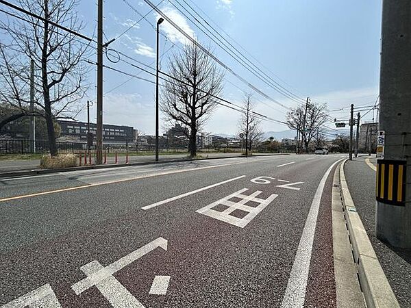 前面道路