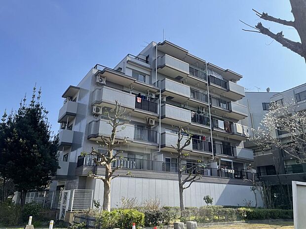 総戸数16戸6階建て2階部分になります。閑静な住宅地で那珂川沿いに位置し隣地には公園もあり緑豊な場所です。