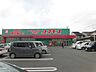 周辺：ドラッグストア 【周辺環境】コスモス花園店まで約2.3kｍ（車約7分） 2300m