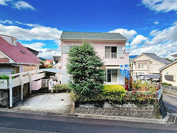 外観：345000036893