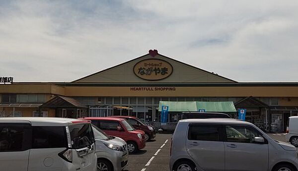 【周辺環境】ミートショップながやま財部店様まで、車で7分（約2550ｍ）です。
