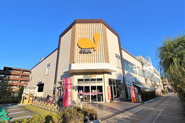 画像19:【スーパー】ダイエー浦安駅前店まで753ｍ