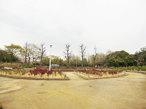 【公園】大井戸公園まで245ｍ