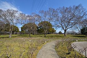 ラ・フォーレ北園田  ｜ 兵庫県尼崎市田能3丁目（賃貸マンション3LDK・3階・73.15㎡） その29