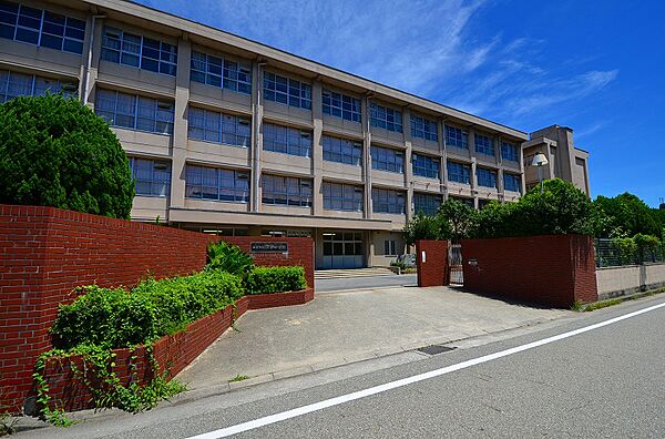 兵庫県西宮市田代町(賃貸マンション1LDK・3階・48.83㎡)の写真 その26