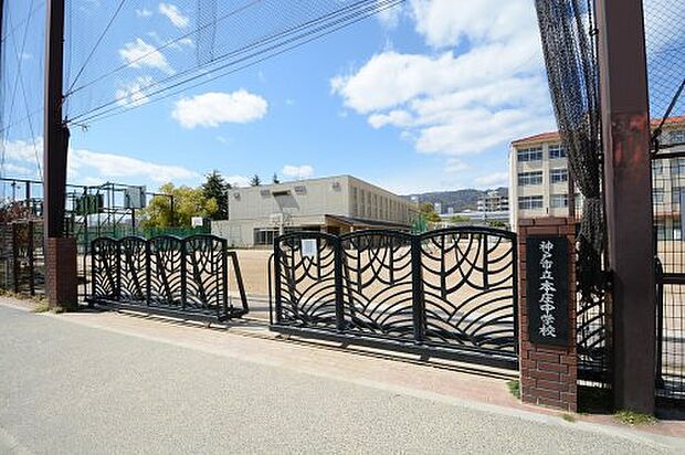 【中学校】神戸市立本庄中学校まで1375ｍ