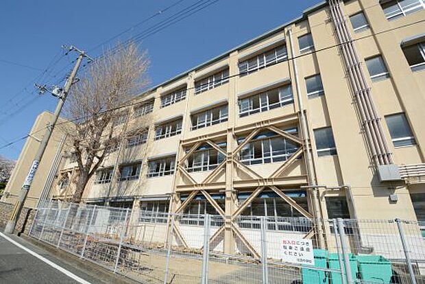 【中学校】神戸市立住吉中学校まで1526ｍ