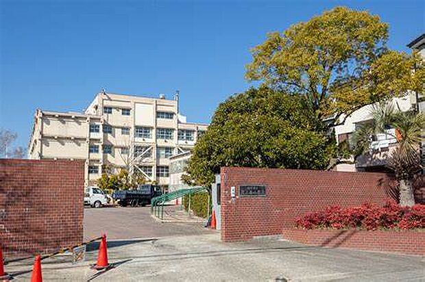 【小学校】西宮市立段上西小学校まで874ｍ