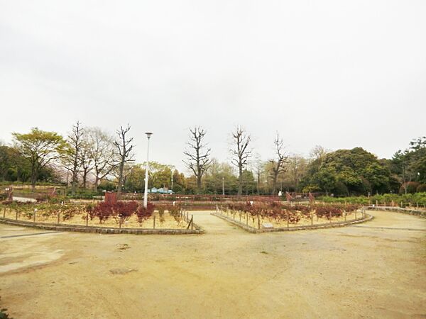 画像23:【公園】大井戸公園まで159ｍ