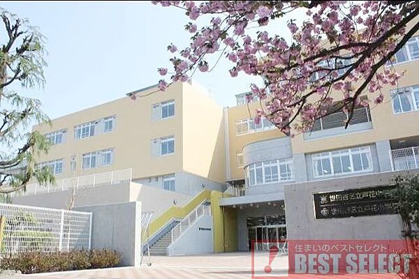 世田谷区立芦花小学校　徒歩8分 650m