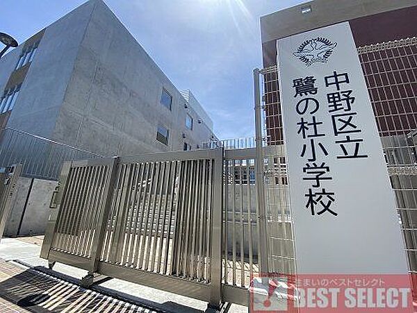 中野区立鷺の杜小学校　徒歩8分 600m