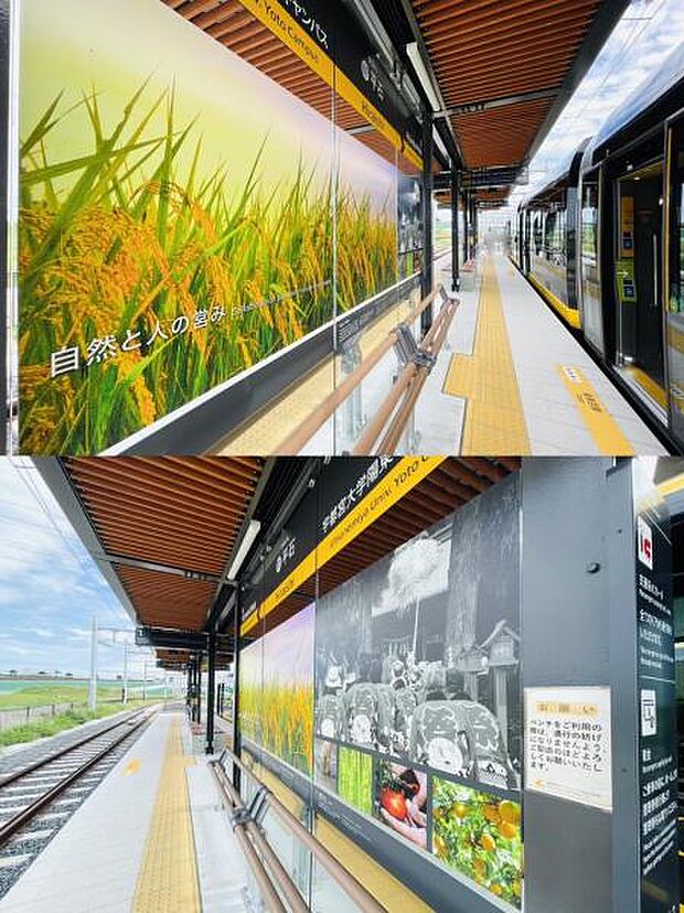 LRT平石駅　5144ｍ/徒歩65分、車13分