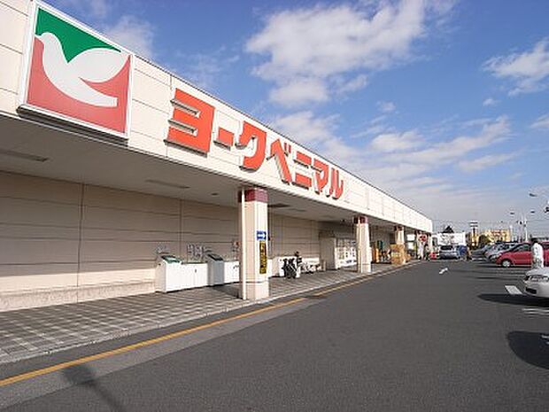 ヨークベニマル若松原店 1005m/徒歩13分、車3分