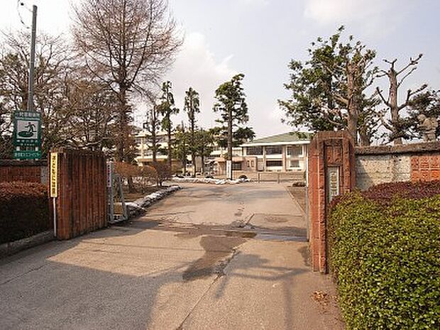 細谷小学校 956m/徒歩12分、車3分