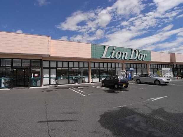 リオン・ドール高根沢店 791m/徒歩10分、車2分