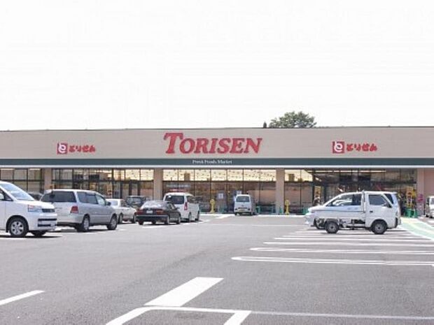 とりせん細谷店 1151m/徒歩15分、車3分