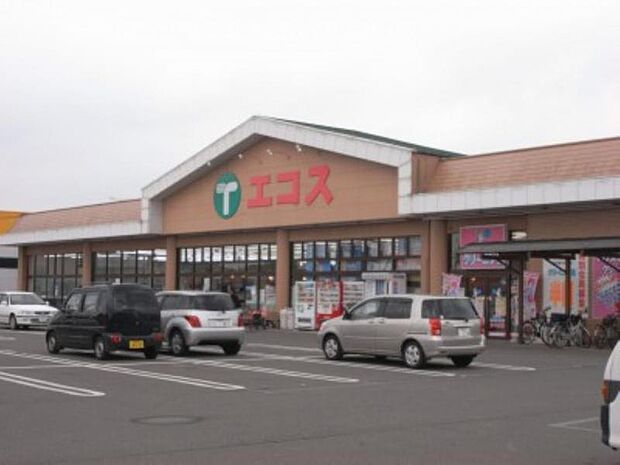 エコスTAIRAYA上三川店　958ｍ/徒歩12分、車3分