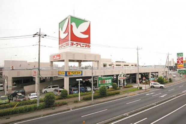 ヨークベニマル御幸ヶ原店 890m/徒歩12分、車3分