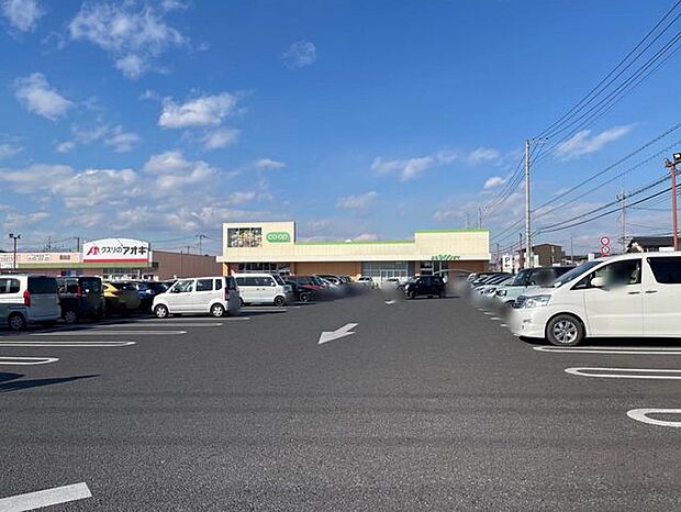 スーパー とちぎコープ鶴田店　1205ｍ/徒歩16分、車4分