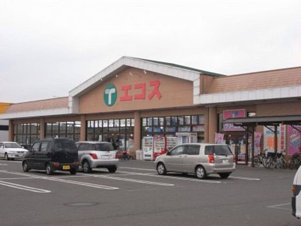スーパー エコスTAIRAYA上三川店 958m/徒歩12分、車3分