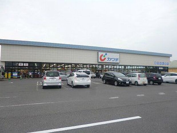 カワチ薬品泉が丘店 徒歩6分。 450m