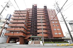 シャンボール康生